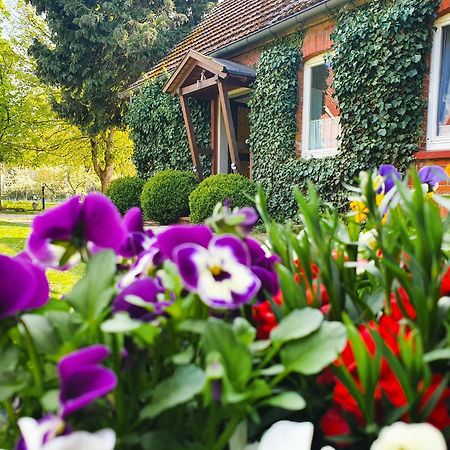 Am Alten Haus Altenmedingen Exteriér fotografie