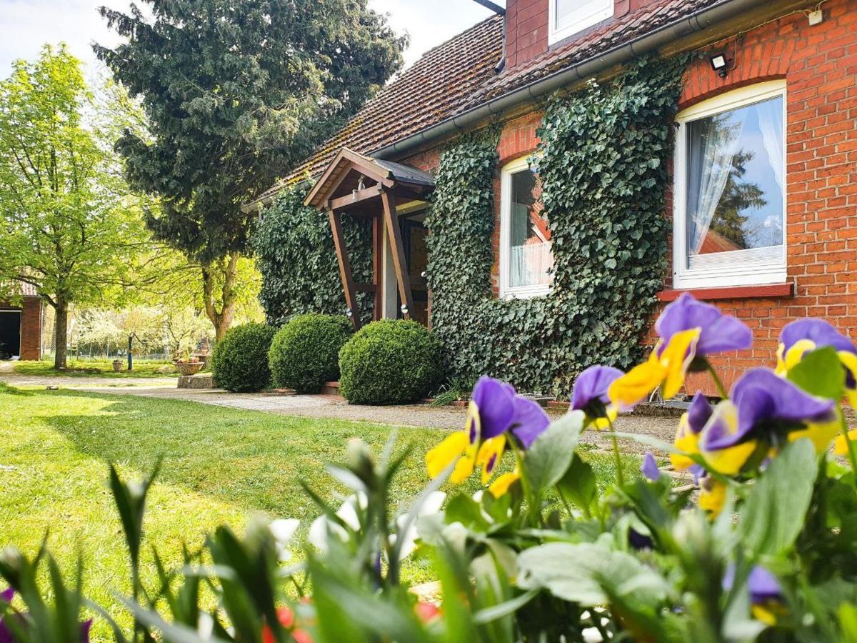 Am Alten Haus Altenmedingen Exteriér fotografie
