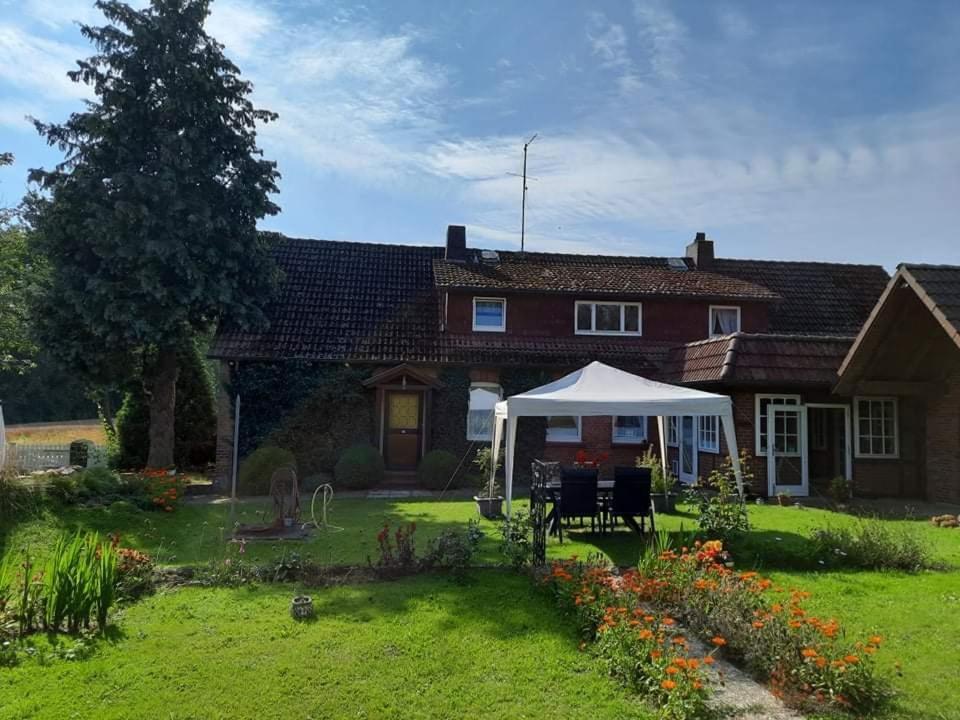 Am Alten Haus Altenmedingen Exteriér fotografie