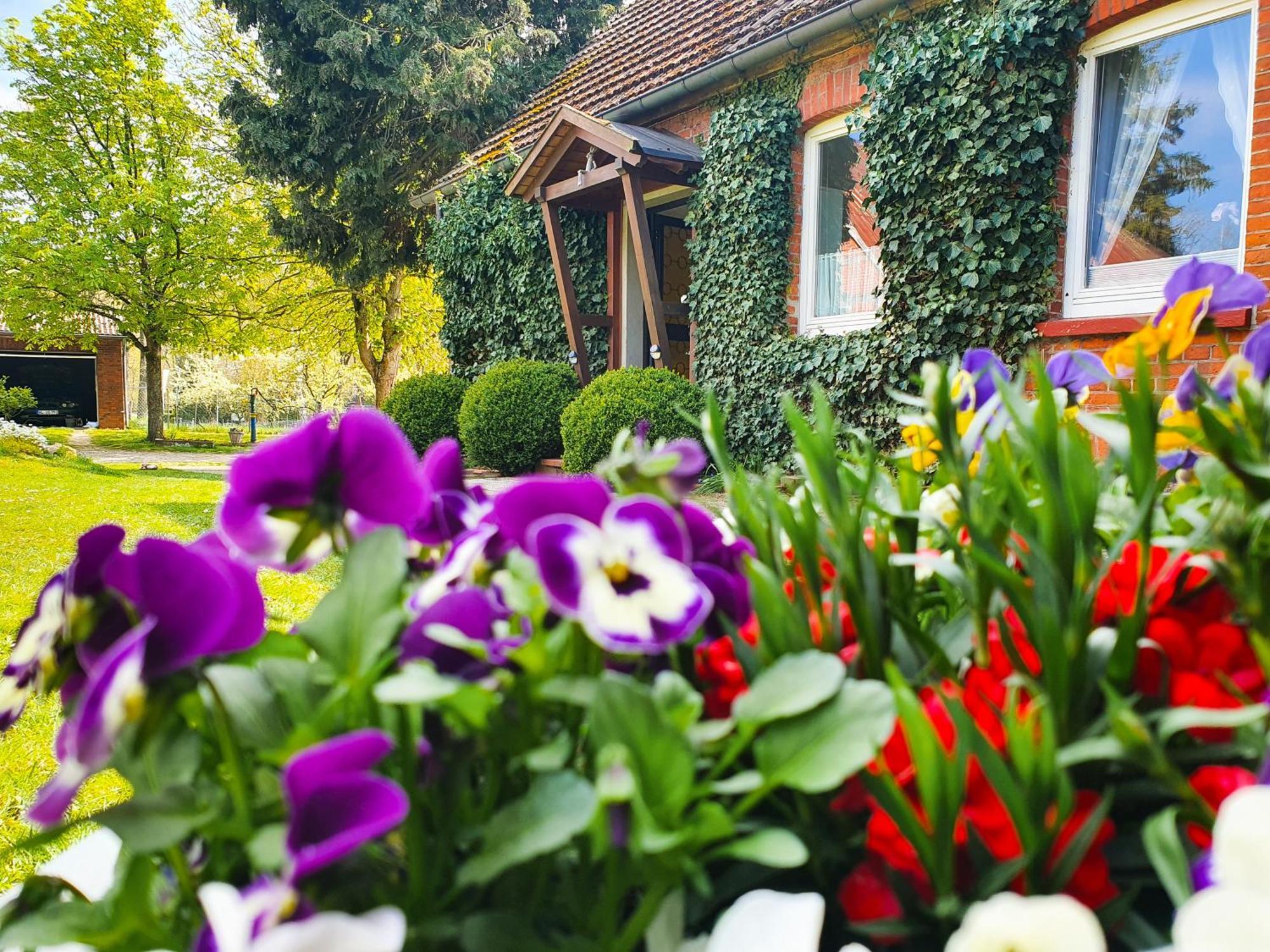 Am Alten Haus Altenmedingen Exteriér fotografie